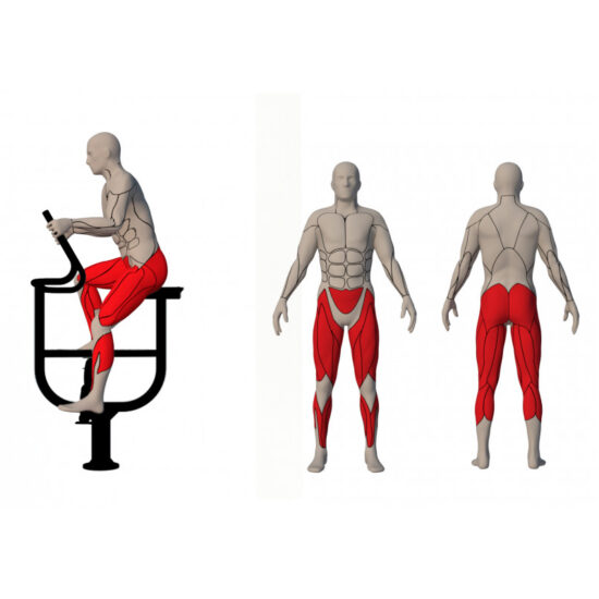 Rower - obrazek 2